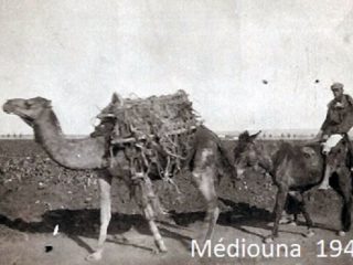 Médiouna 3